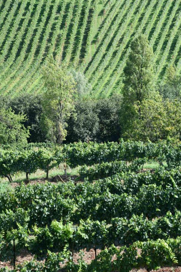 Resort Convento Dell'annunciata Soul Retreat In Franciacorta Rovato